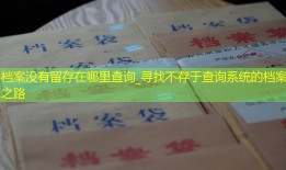 档案没有留存在哪里查询_寻找不存于查询系统的档案之路