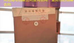 河北高考档案去向查询官网：查询你的档案去向
