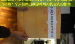 湖南查询档案在哪里怎么查？如何在湖南查询自己的档案？个人档案退回原籍后如何查询的指南