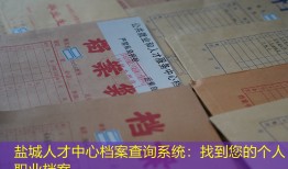盐城人才中心档案查询系统：找到您的个人职业档案