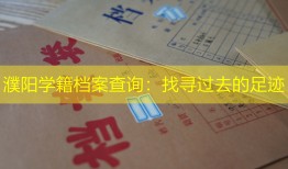 濮阳学籍档案查询：找寻过去的足迹