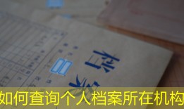 如何查询个人档案所在机构