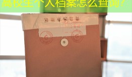 高校生个人档案怎么查询？
