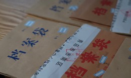 个人档案存放在线查询实用指南
