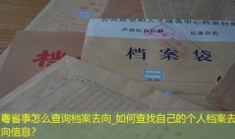 粤省事怎么查询档案去向_如何查找自己的个人档案去向信息？