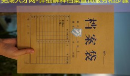 芜湖人才网-详细解释档案查询服务和步骤