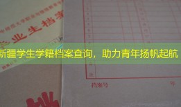 新疆学生学籍档案查询，助力青年扬帆起航