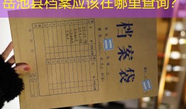 岳池县档案应该在哪里查询？