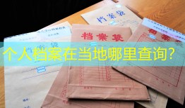 个人档案在当地哪里查询？