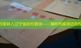 档案转入辽宁省如何查询——解析档案调动流程