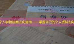 个人学籍档案去向查询——掌握自己的个人资料去向