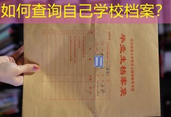 如何查询自己学校档案？