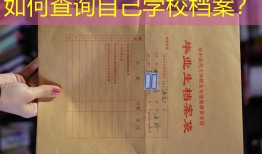 如何查询自己学校档案？