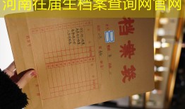 河南往届生档案查询网官网