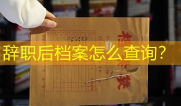 辞职后档案怎么查询？