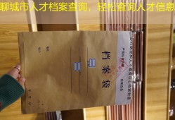 聊城市人才档案查询，轻松查询人才信息
