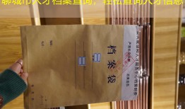 聊城市人才档案查询，轻松查询人才信息