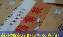 苏州档案在哪里怎么查询？