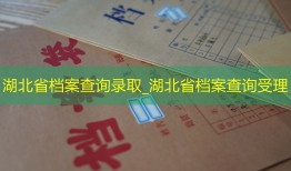 湖北省档案查询录取_湖北省档案查询受理