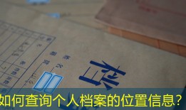 如何查询个人档案的位置信息？