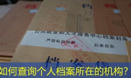 如何查询个人档案所在的机构？