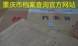 重庆市档案查询官方网站