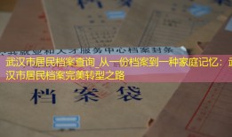 武汉市居民档案查询_从一份档案到一种家庭记忆：武汉市居民档案完美转型之路
