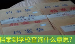 档案到学校查询什么意思？