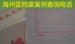 海州区档案案例查询电话