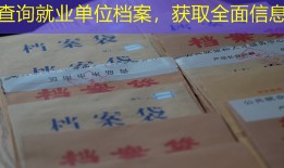 查询就业单位档案，获取全面信息