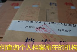 如何查询个人档案所在的机构？