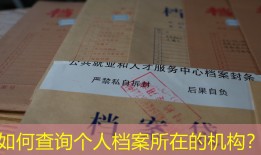 如何查询个人档案所在的机构？