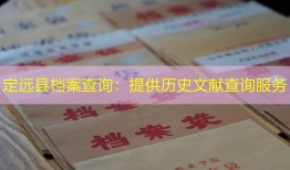 定远县档案查询：提供历史文献查询服务