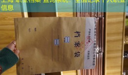 上海 职业档案 查询系统：全面记录个人职业信息
