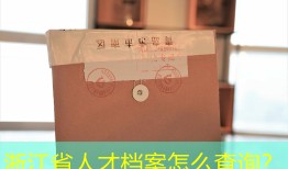 浙江省人才档案怎么查询？