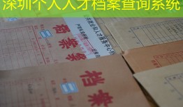 深圳个人人才档案查询系统