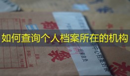 如何查询个人档案所在的机构