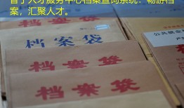 普宁人才服务中心档案查询系统：畅游档案，汇聚人才。