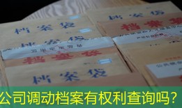 公司调动档案有权利查询吗？