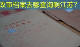 政审档案去哪查询啊江苏？