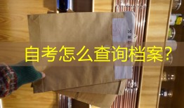 自考怎么查询档案？