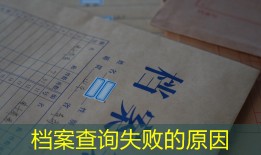 档案查询失败的原因