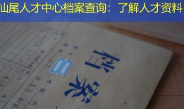 汕尾人才中心档案查询：了解人才资料