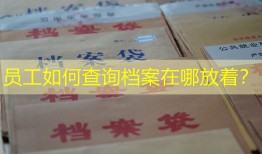 员工如何查询档案在哪放着？