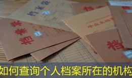 如何查询个人档案所在的机构