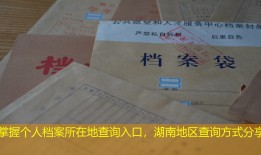 掌握个人档案所在地查询入口，湖南地区查询方式分享