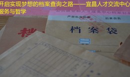 开启实现梦想的档案查询之路——宜昌人才交流中心的服务与哲学