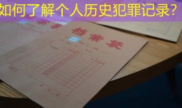 如何了解个人历史犯罪记录？