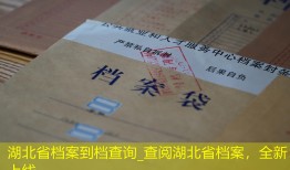 湖北省档案到档查询_查阅湖北省档案，全新上线