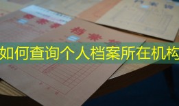 如何查询个人档案所在机构